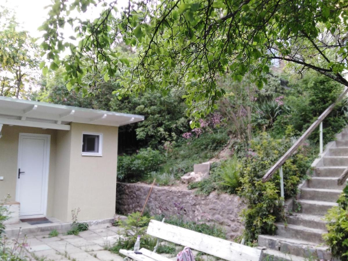 בראשוב The Bungalow מראה חיצוני תמונה